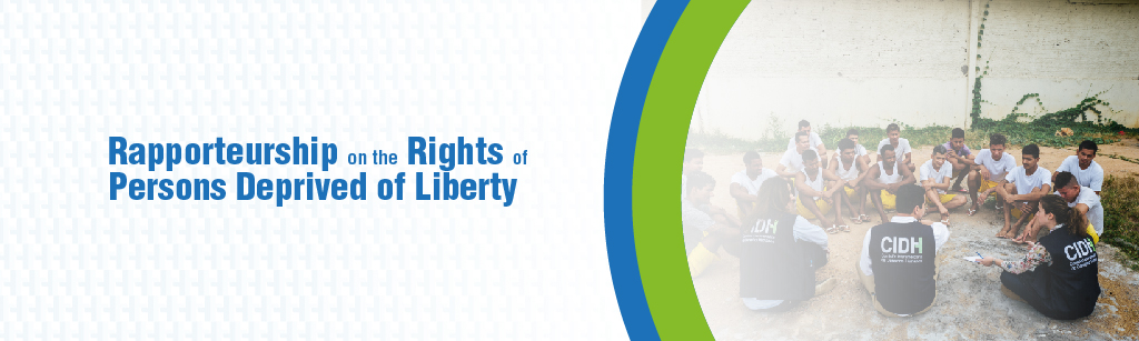 Rapporteurship on the Rights of Persons Deprived of Liberty and to Prevent and Combat Torture